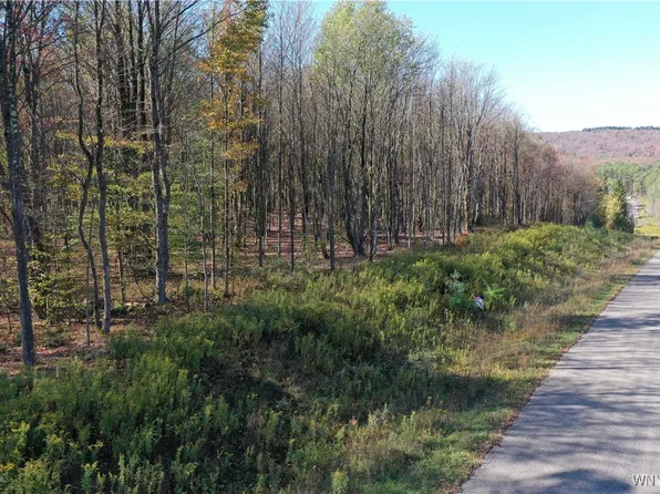 11 Trail Hts, Ellicottville, NY 14731