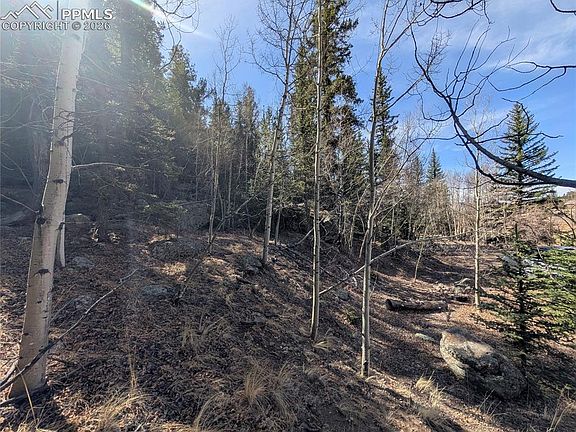 5th image of 386 Brook Dr