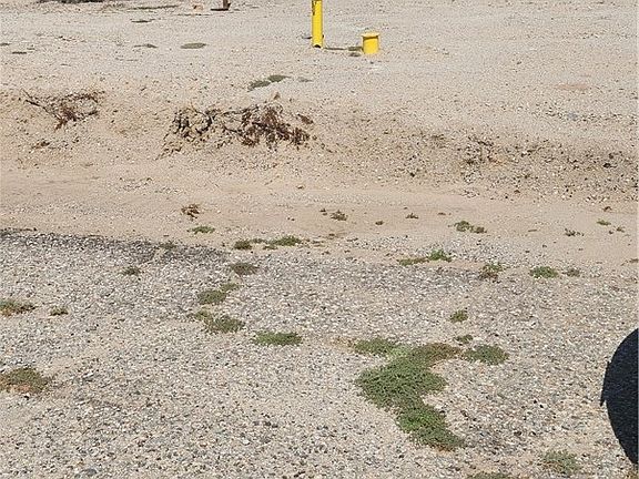 4th image of 1031 Sea Gull Avenue