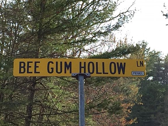5th image of 182 Bee Gum Hollow Ln