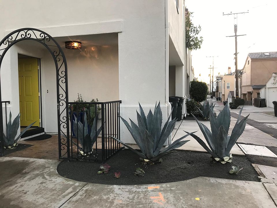 1st image of 445 Begonia Ave