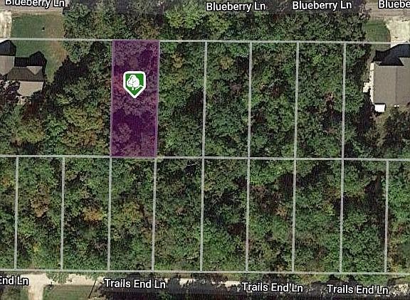 2nd image of 614 Blueberry Ln