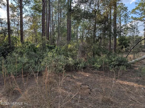 327 WAYBURN Street, Georgetown, FL 32139