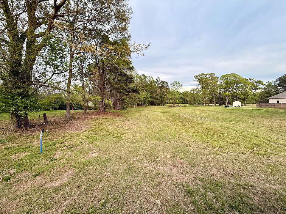 2nd image of Fern Gully Lot 1