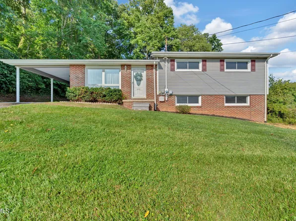 443 Kinkead Ave, Church Hill, TN 37642