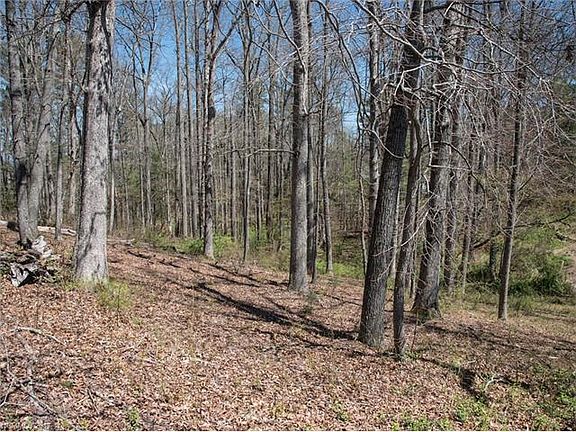 2nd image of 136 Lone Oak Dr