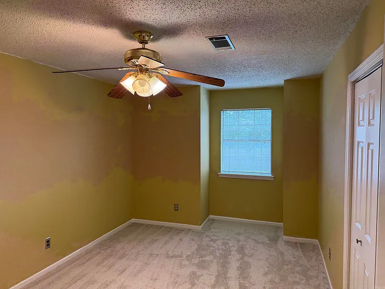 2 Red Birch Cv — Photo 8