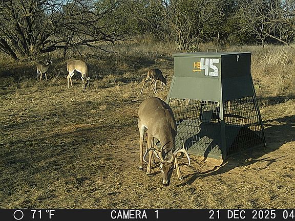 5th image of County Road 291