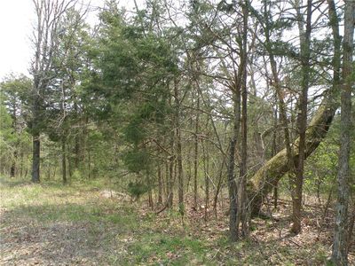 30 Eagle Dr #14, Eureka Springs, AR, 72631