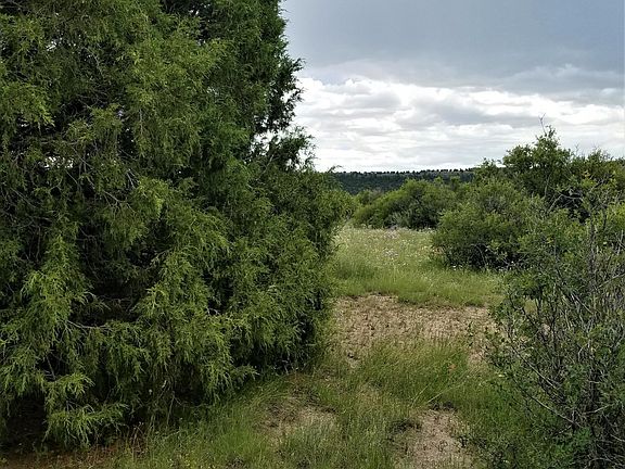 4th image of 2315 Tbd County Rd