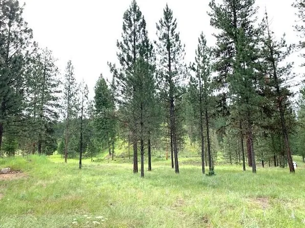 327 Dunham Ct, Seeley Lake, MT 59868