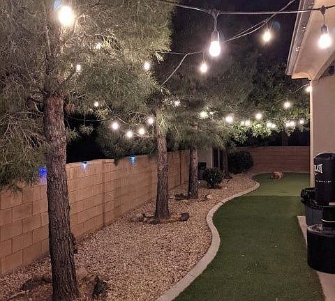 627 Back yard turf_07022021