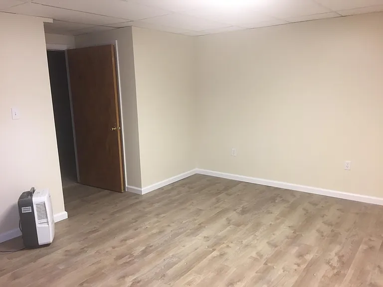 Lower level Rec room w/ closet