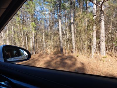 Tbd Dockery Rd, Rockingham, NC, 28379