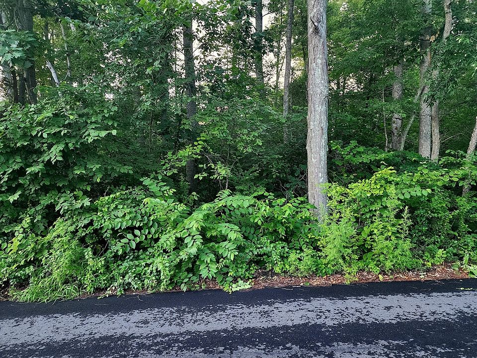 2nd image of 20 Lakeside Ave