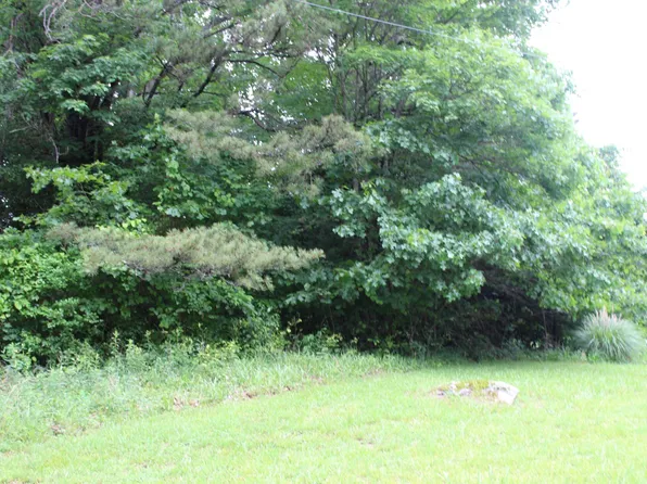0 Holly Tree Road Vaughan Ave, Summersville, WV 26651
