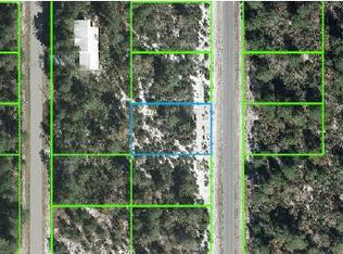 225 Galapagos Ave NE, Lake Placid, FL 33852