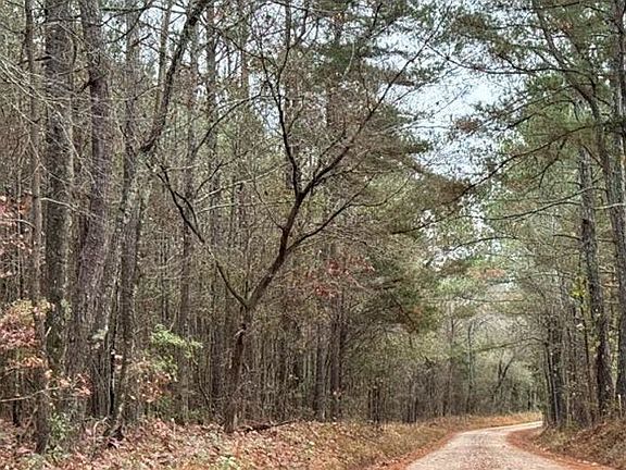 5th image of 556 Stewart Rd