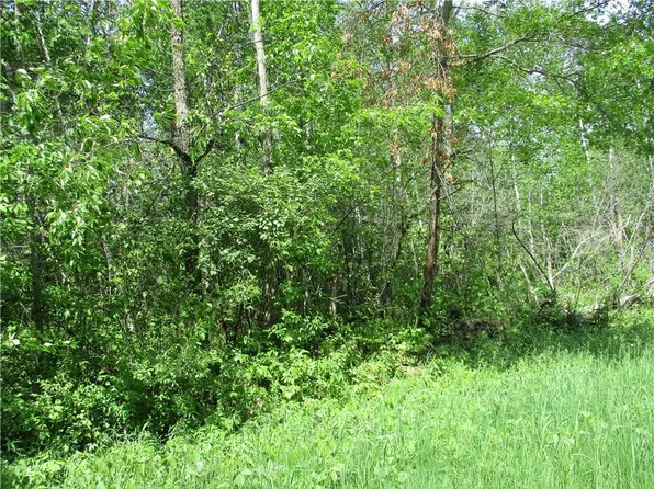 LOTS #16 & 17 Eden Avenue, Birchwood, WI 54817