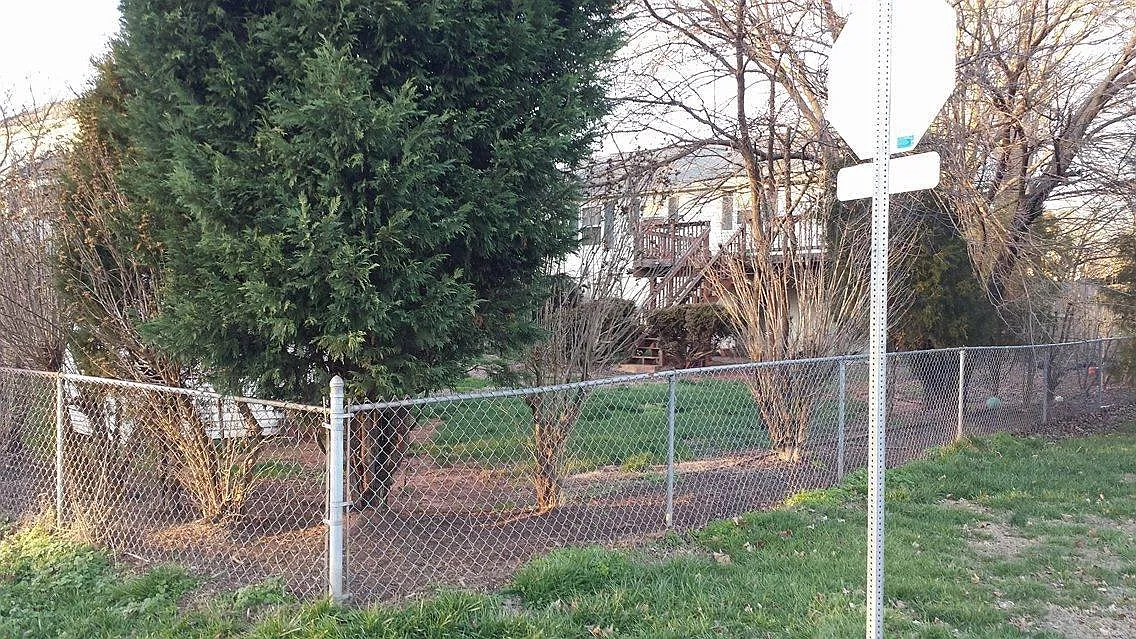 5 bed, 1098 sqft, $3,199 — Photo 4