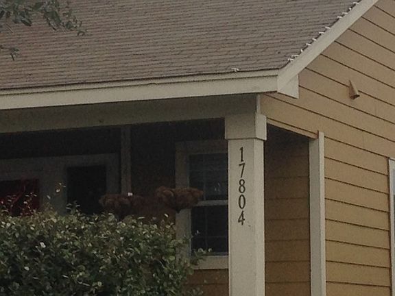 5th image of 17804 Golden Valley Dr
