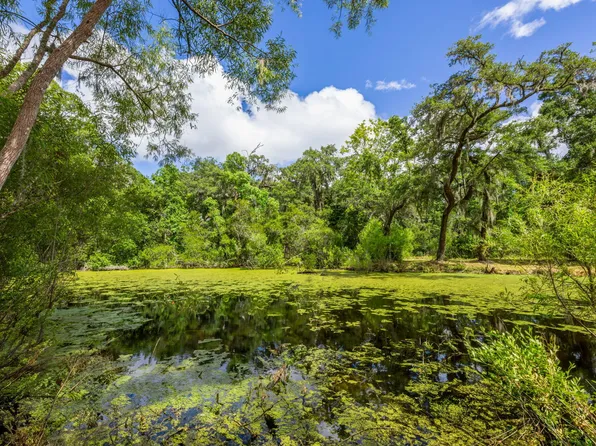 0 Thorn Chase Ln, Johns Island, SC 29455
