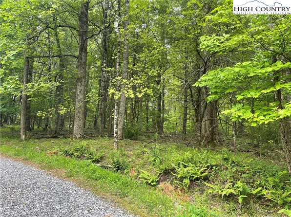 Lots 52 & 53 Rustic Road, West Jefferson, NC 28694