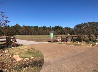 Tbd Clover Ln, Diana, TX 75640