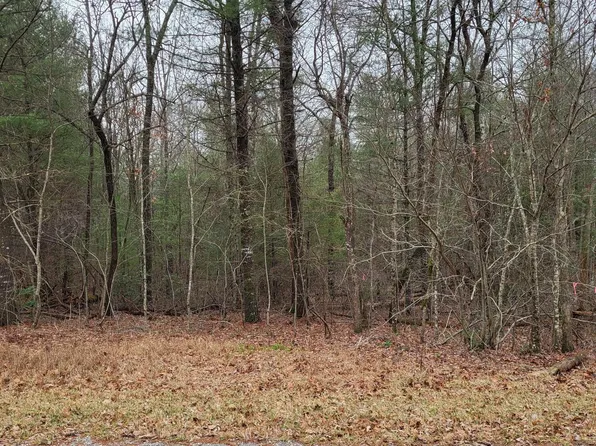 132 Laswell Ln, Fairfield Glade, TN 38558