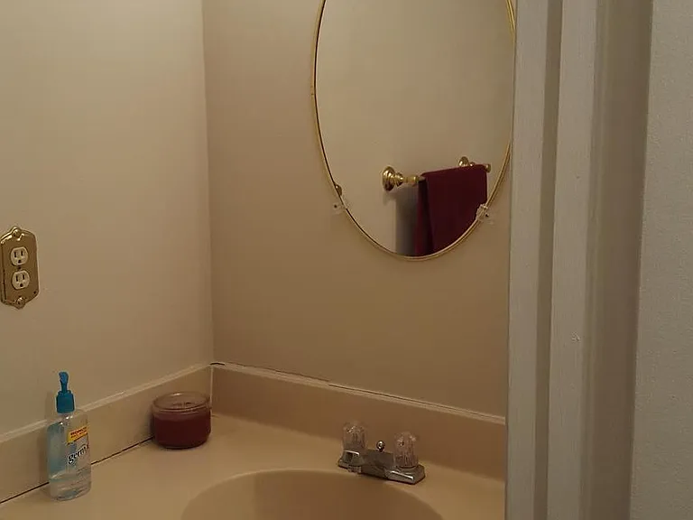 10699 Spring Oak Ct — Photo 12