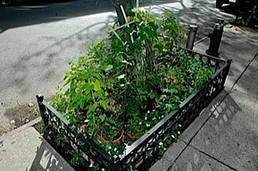 Rented by Boerum Hill Realty