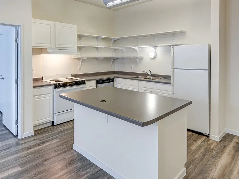 Upgraded Kitchen Flooring and Countertops