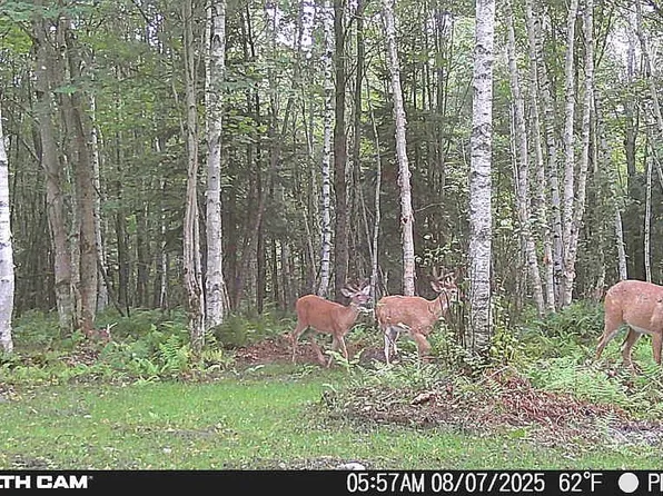 2483 State Highway 114 E, Norton, VT 05907