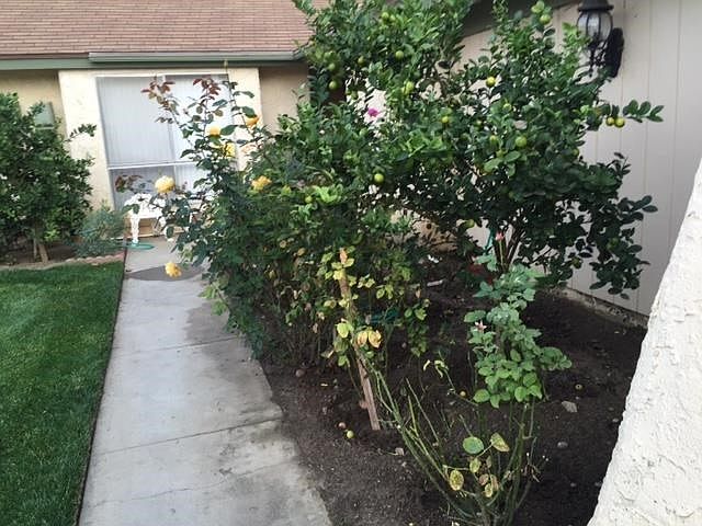1st image of 6205 Village 6
