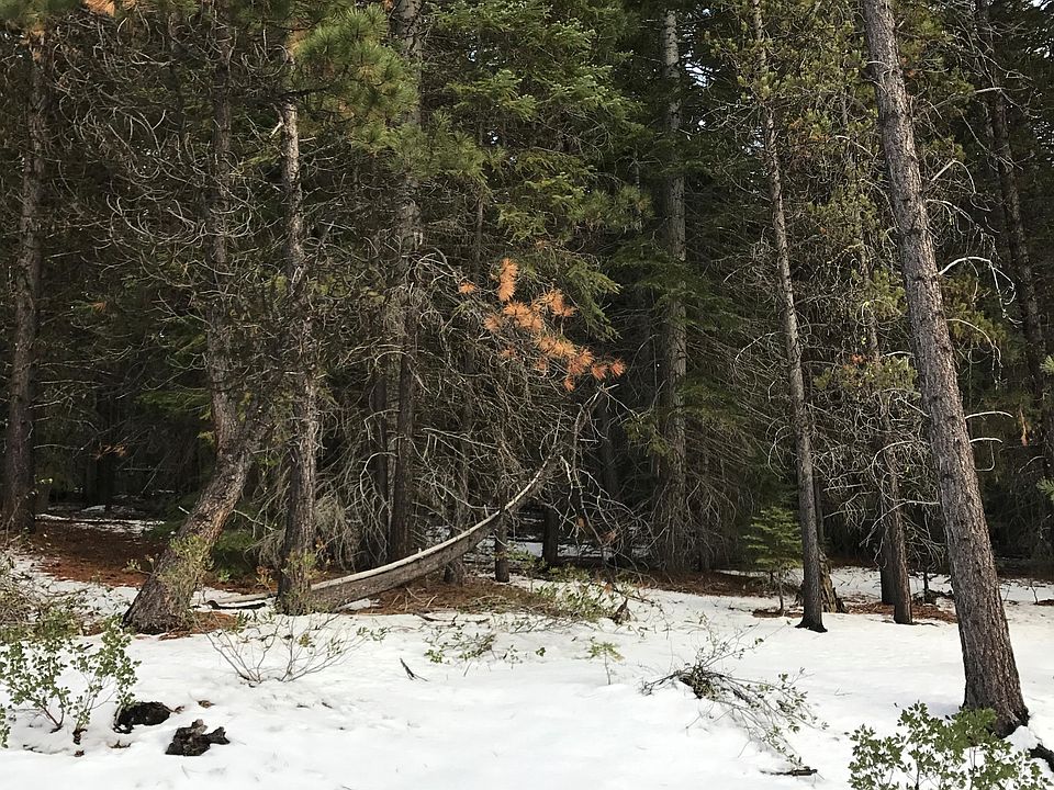 1st image of 31 Diamond Peak Dr
