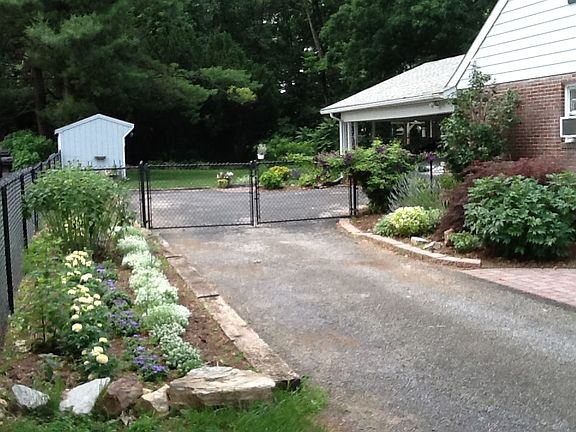 Fenced back yard