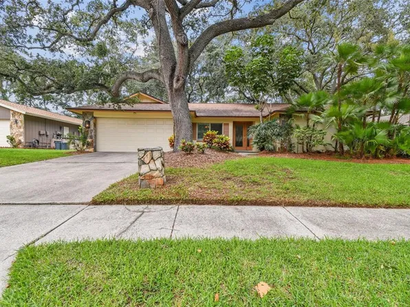 5 Fernery Ln, Safety Harbor, FL 34695