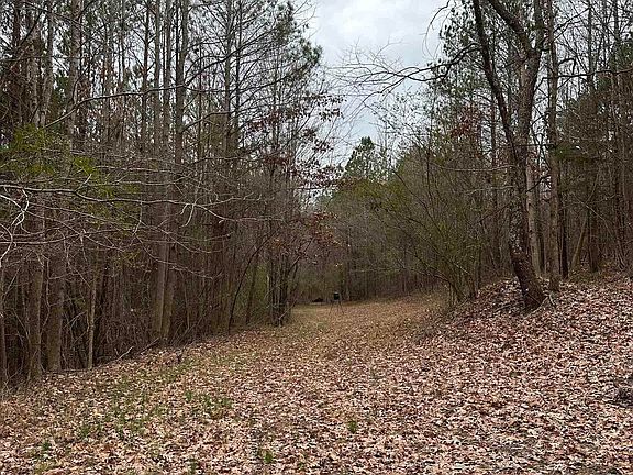 4th image of 1767 County Road 70 #1