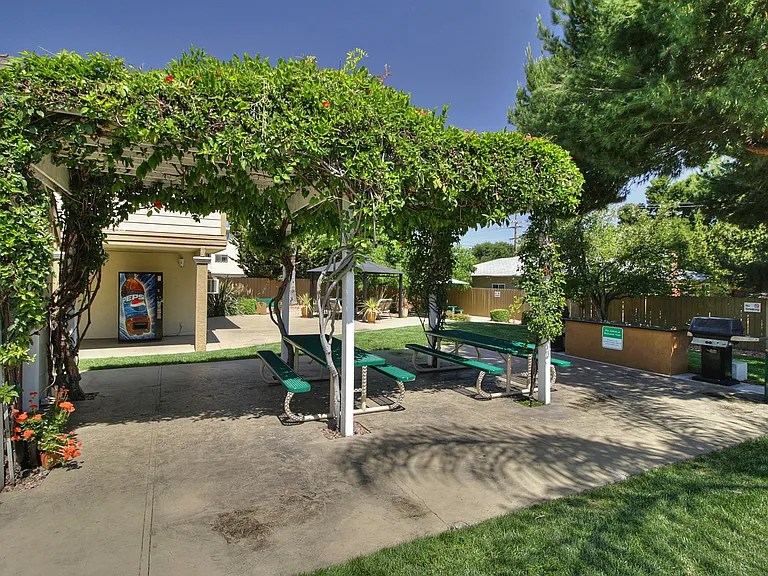 Picnic & Barbeque Area