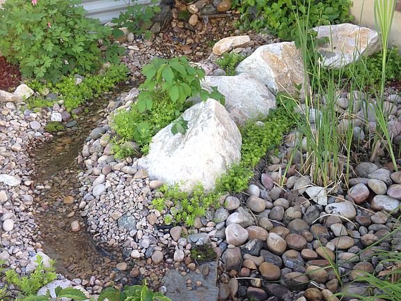 low maintenance landscape