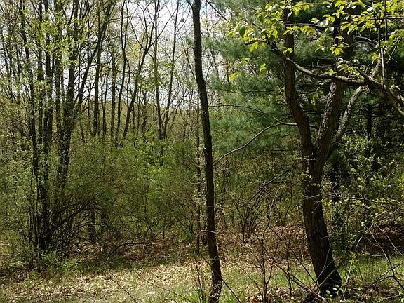 4th image of Joslin Lake Rd