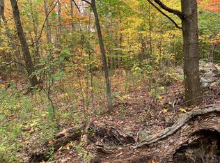 0 Alder Bend Rd, Altona, NY 12910