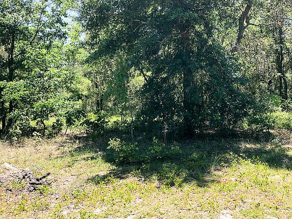 5th image of 4984 Nature Dr