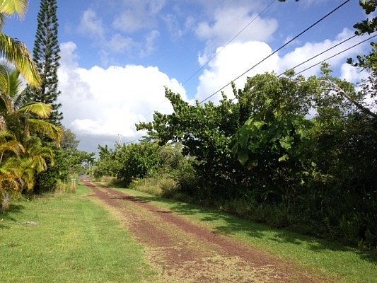 1st image of 1st Ave Lot 1527
