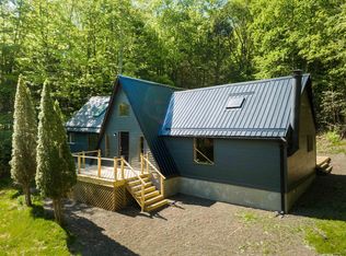 356 Mink Brook Rd, Downsville, NY 13755
