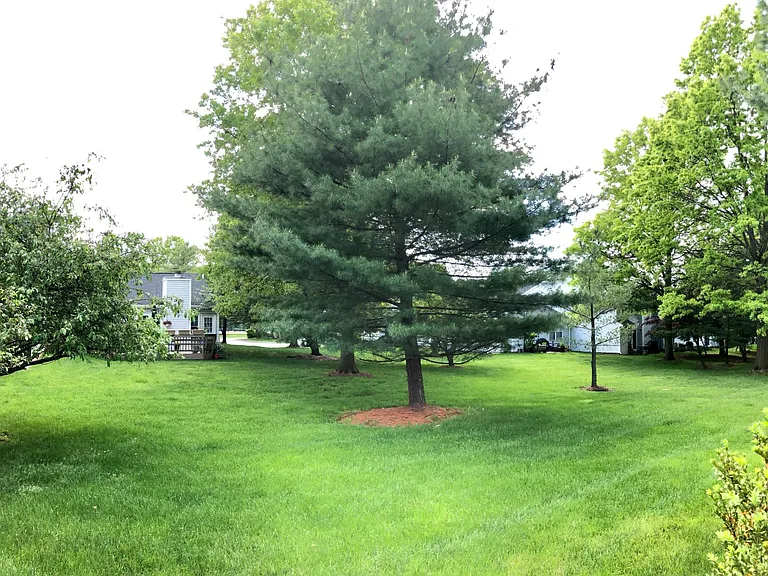 View from back patio