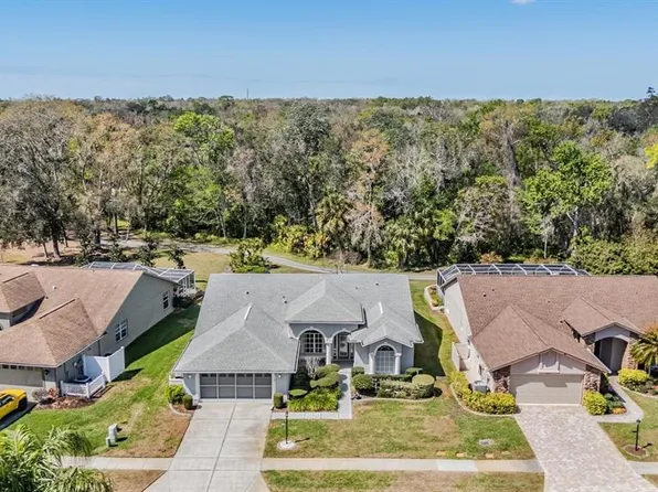 9525 Springmeadow Dr, New Port Richey, FL 34655