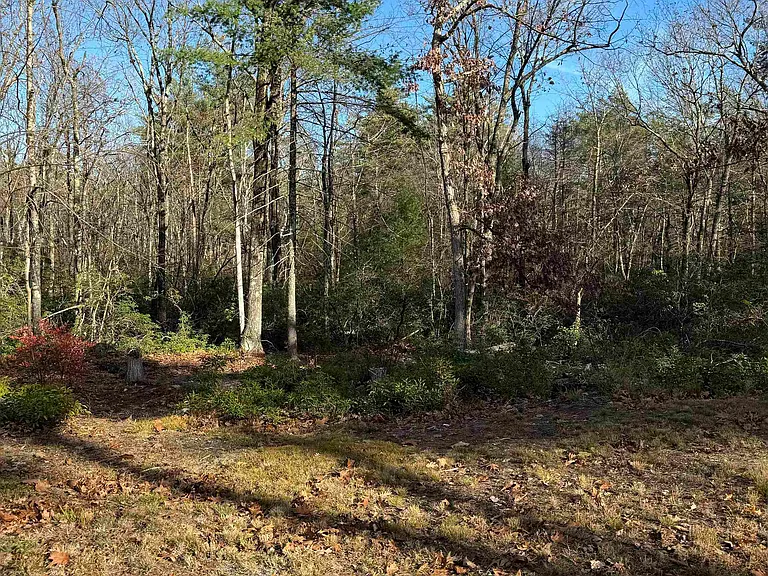 310 Hurricane Hill Rd — Photo 35
