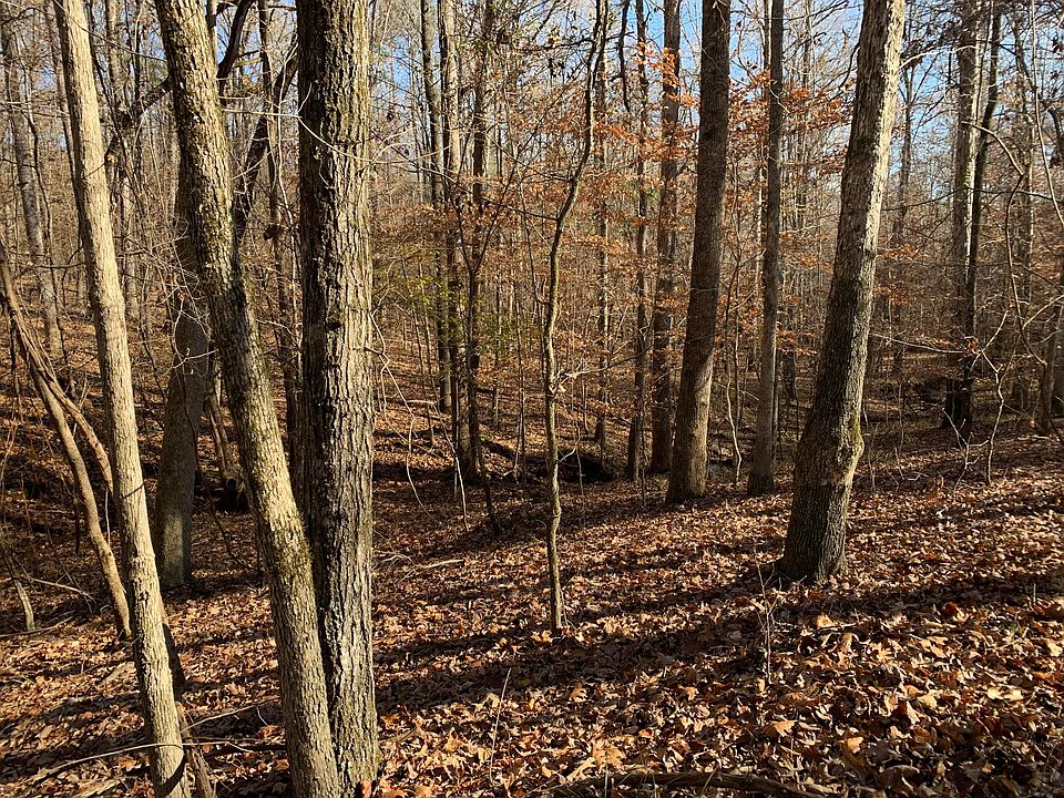 1st image of Palmer Dr