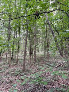 0 Powers Rd, Laurens, SC, 29360